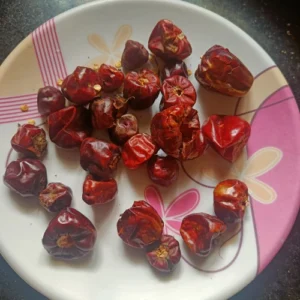 Ingredient chilli for Idli podi