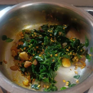 Moringa leaves wilt together
